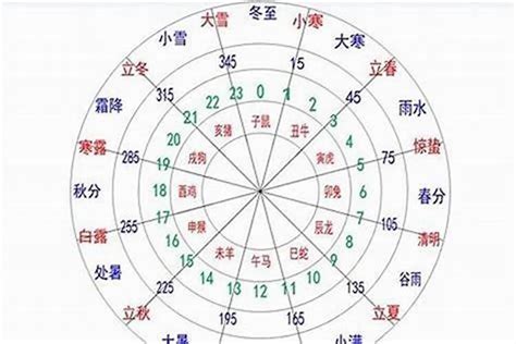 五行忌木|八字算命：八字忌木是什么意思